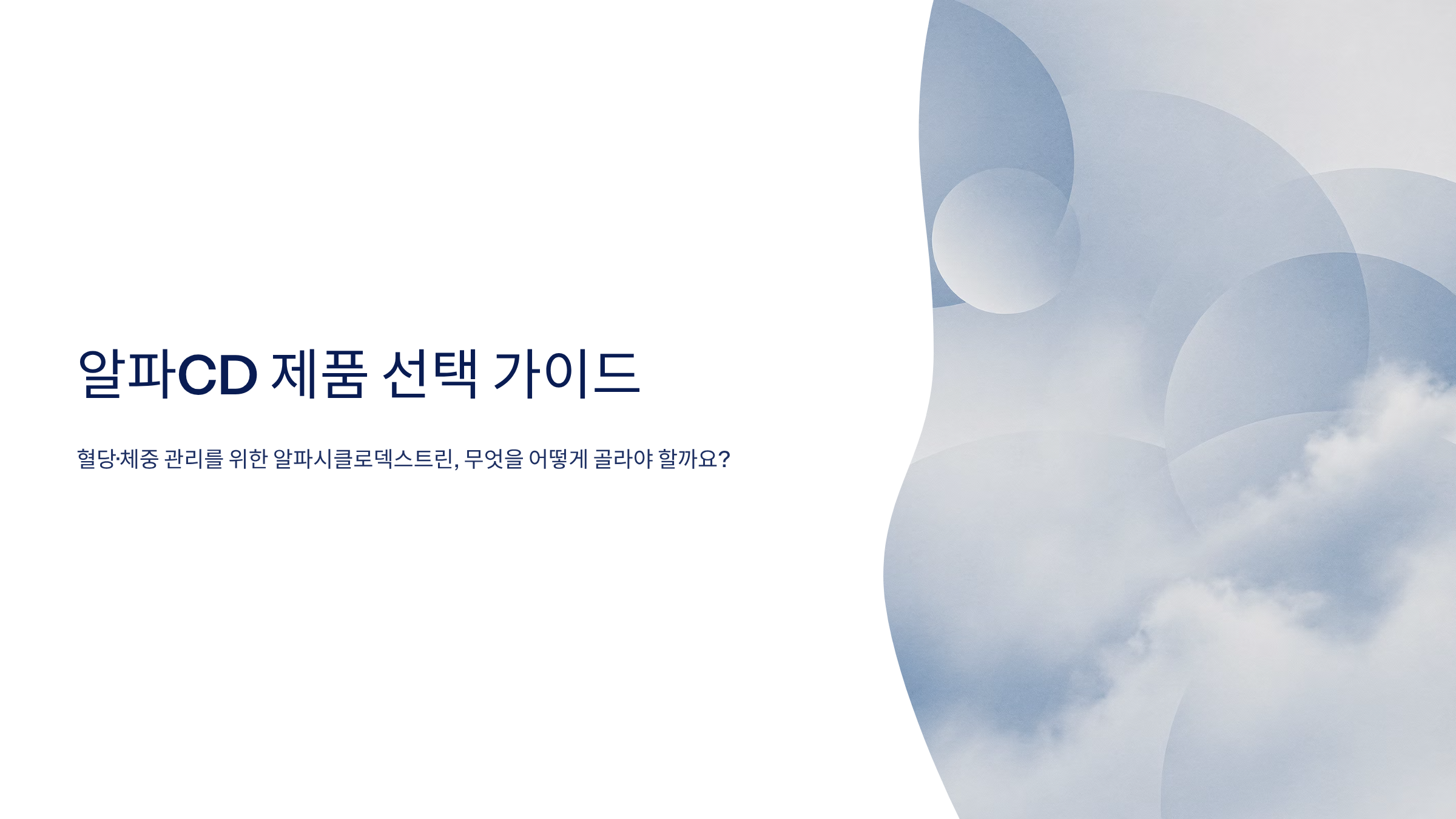 알파CD 추천