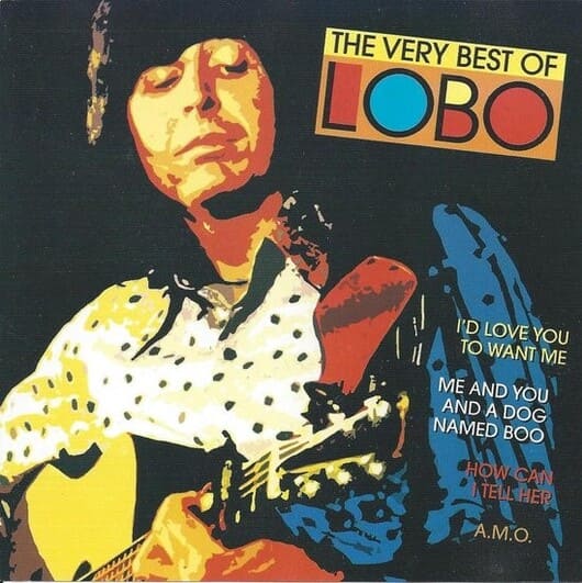 로보 베스트 앨범