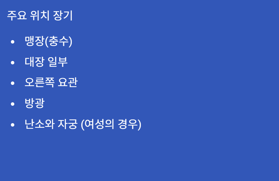 오른쪽 아랫배 통증