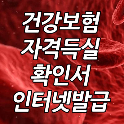 건강보험자격득실확인서_발급방법