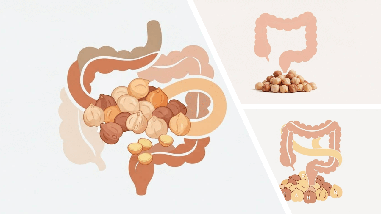 식이섬유: 장 건강과 포만감을 모두 잡는 영양소