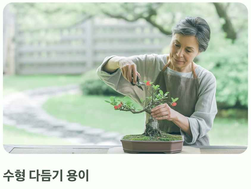 분재로 즐기는 작은 봄