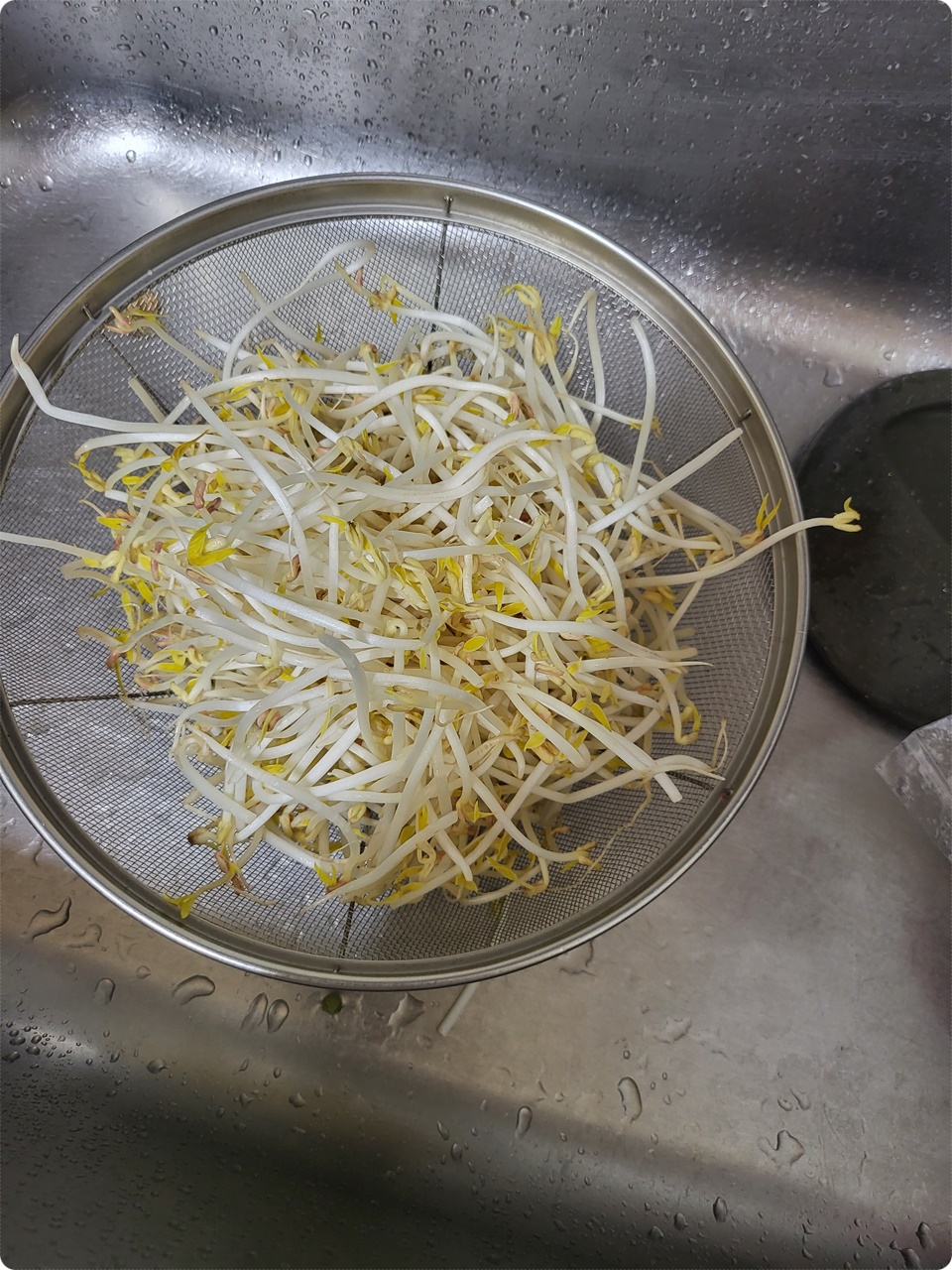 숙주 준비