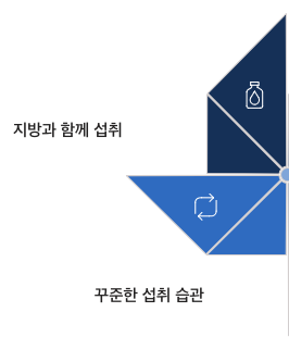 비타민D 지방과 함께