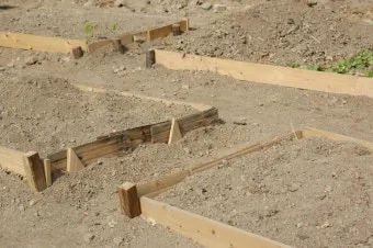 봄 텃밭 준비 토양 갈기 석회 퇴비 잡초 씨 제거_17