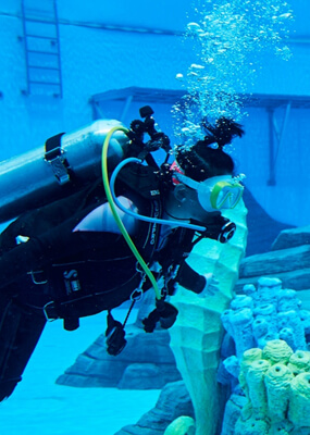 스쿠버 다이빙을 체험하는 사람