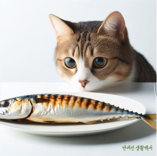 고양이와 생선