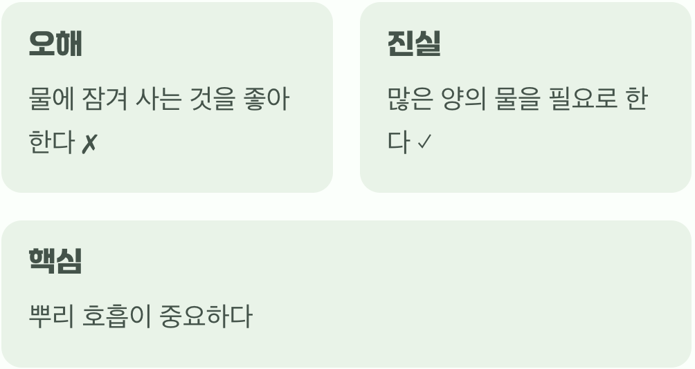 '물을 좋아한다'는 말의 진짜 의미