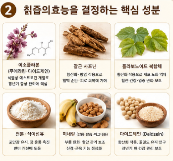 칡즙의효능-복용방법-효과-추천-생칡즙