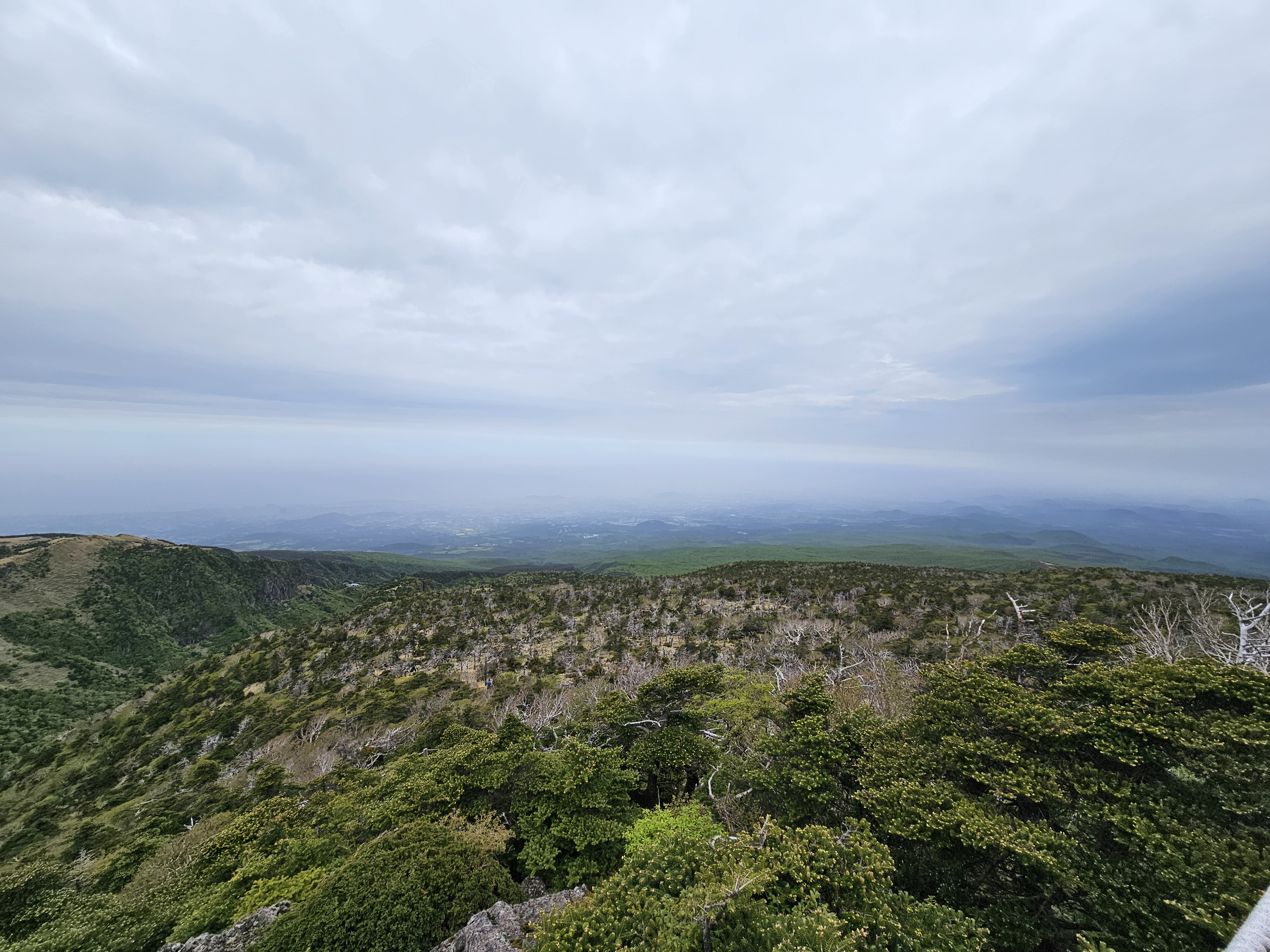 한라산 탐방로 시작 구간 풍경