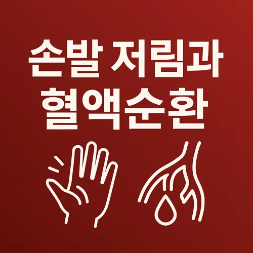 손발 저림과 혈액순환