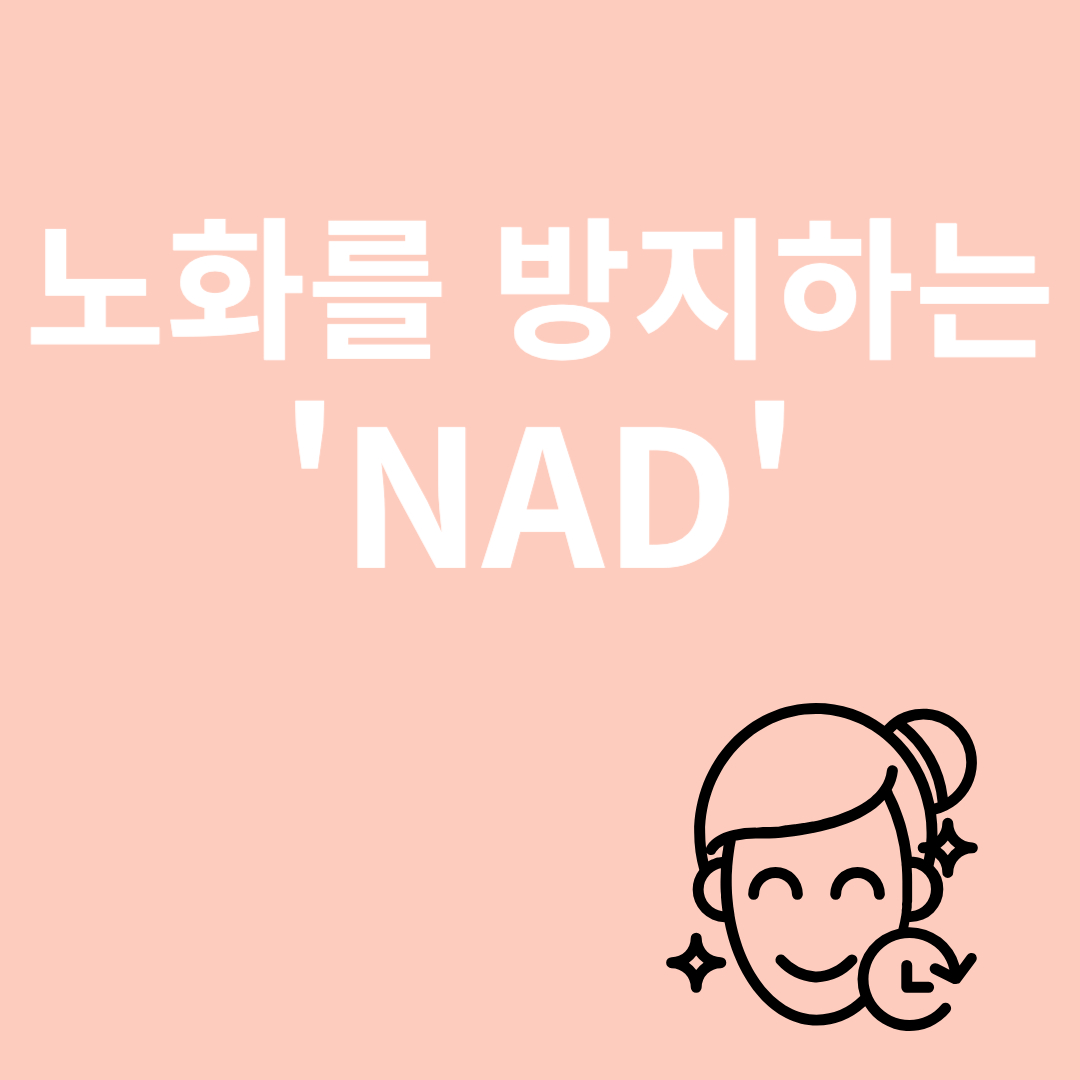 노화방지와 관련된 이미지