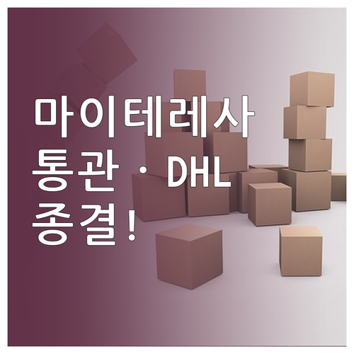 마이테레사 직구 통관 절차와 DHL ..