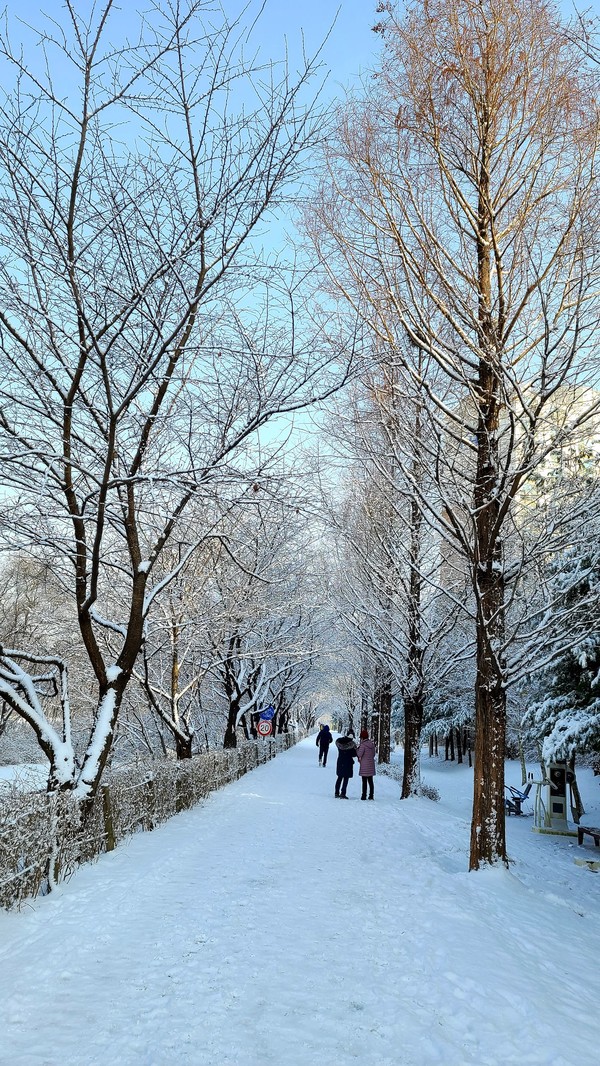 인천 남동구 반려견 겨울 나들이 명소, 강아지와 함께 걷기 좋은 산책 코스