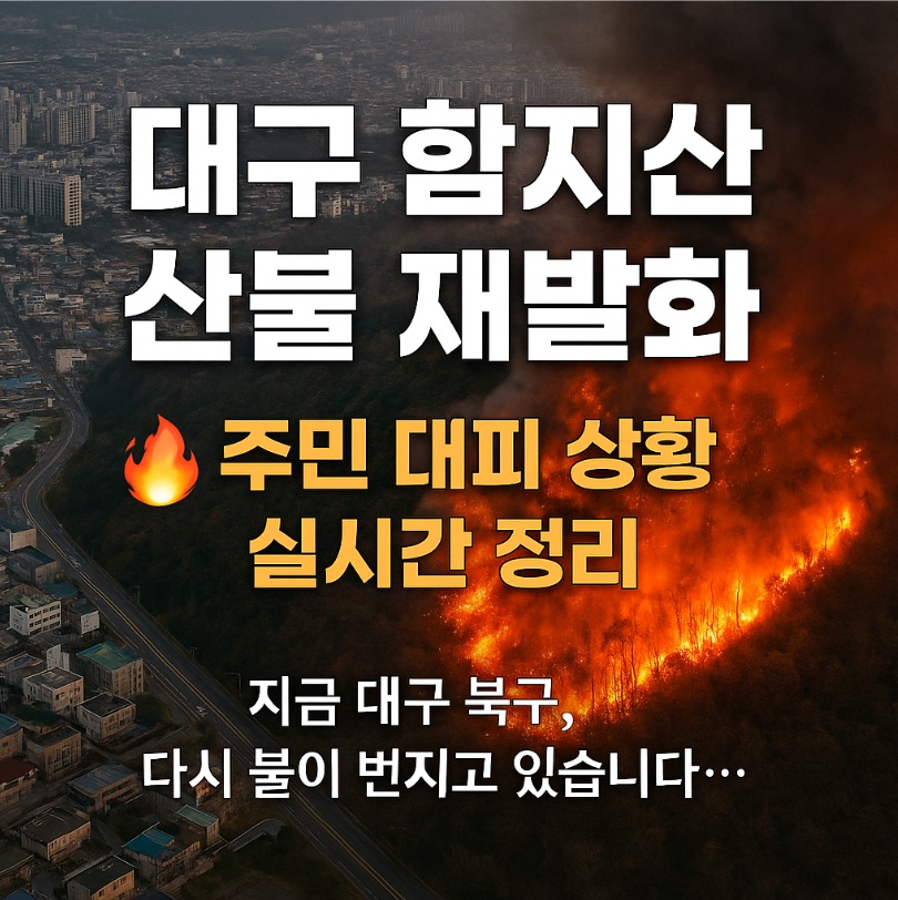 대구 함지산 산불 재발화