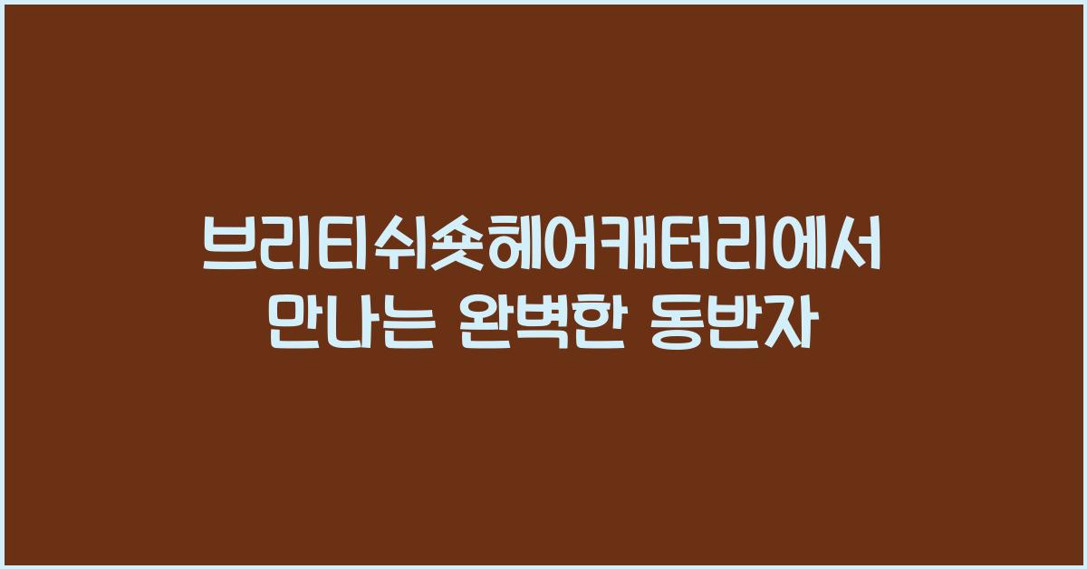 브리티쉬숏헤어캐터리