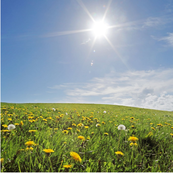 계절의 변화를 세분화한 24 절기 중 &amp;#39;처서&amp;#39; 이해하기