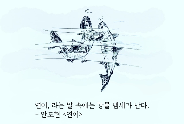 <연어> 인상 깊은 구절