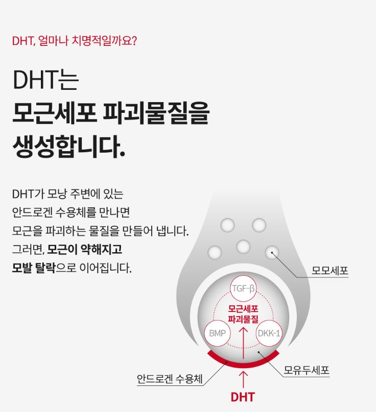 DHT 무서움