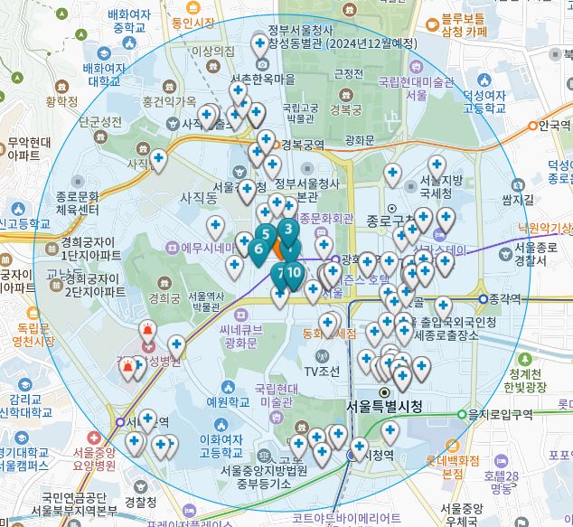 서울시 종로구 당주동 일요일 진료 휴일 문 여는 병원