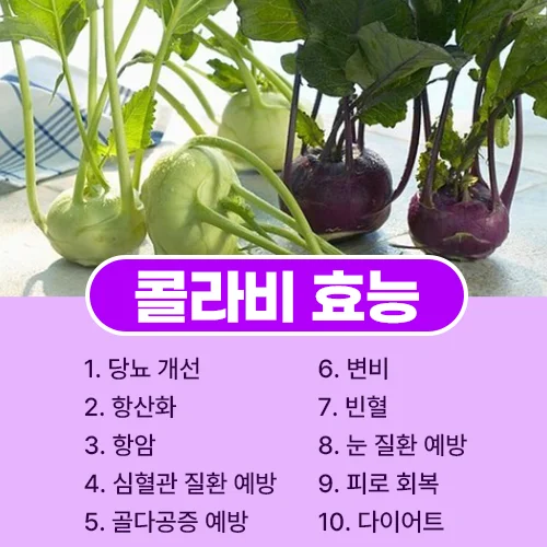콜라비 효능