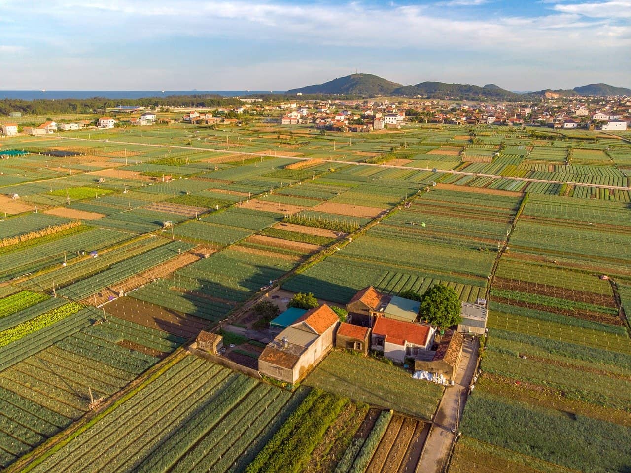 농가용 스마트팜 자동화 기술, 비닐하우스 미세기후 분석으로 작물 관리 정밀화하는 방법