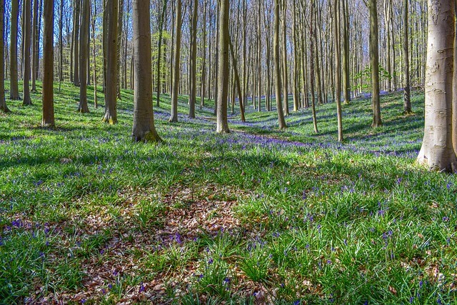 맹지 토지&amp;#44; 무조건 피해야 할까? 탈출 가능한 5가지 조건