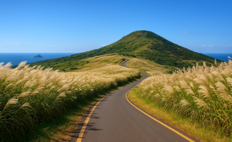 가시리 녹산로 &amp; 따라비 오름