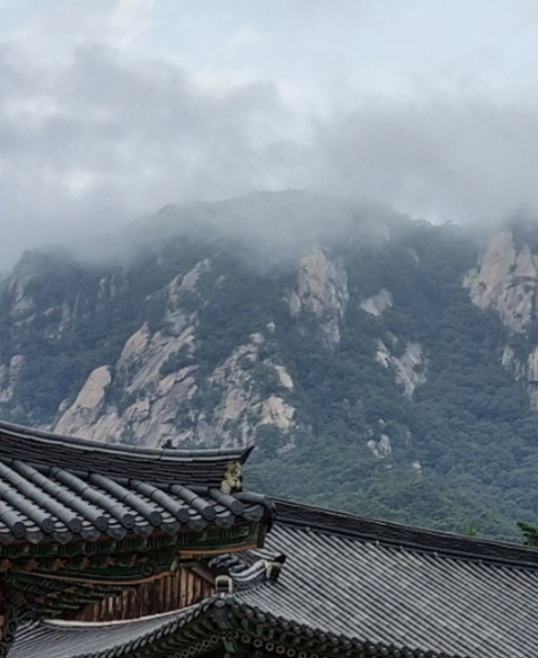문경세계명상마을 전경