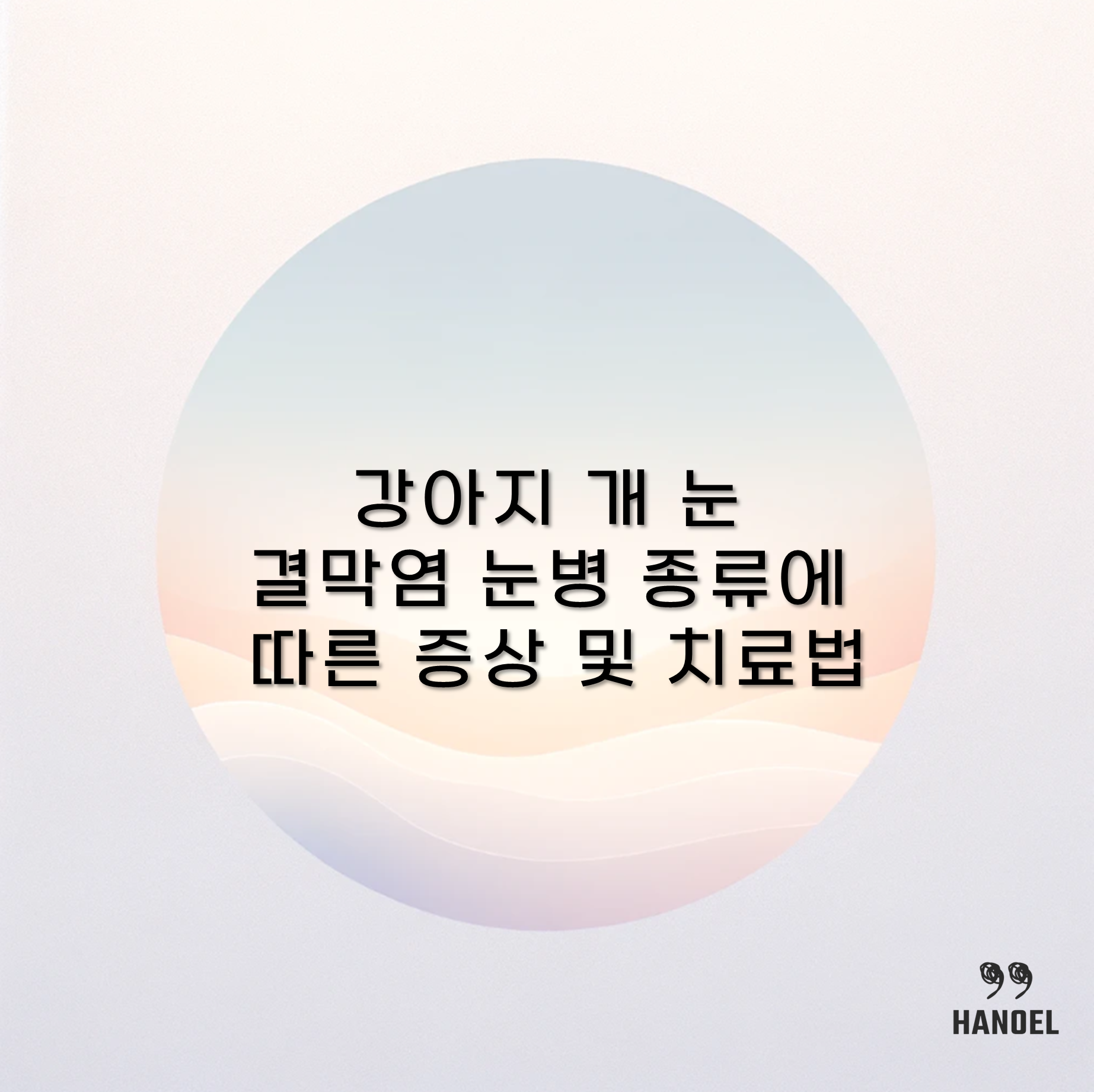 강아지 개 눈 결막염 눈병 종류에 따른 증상 및 치료법