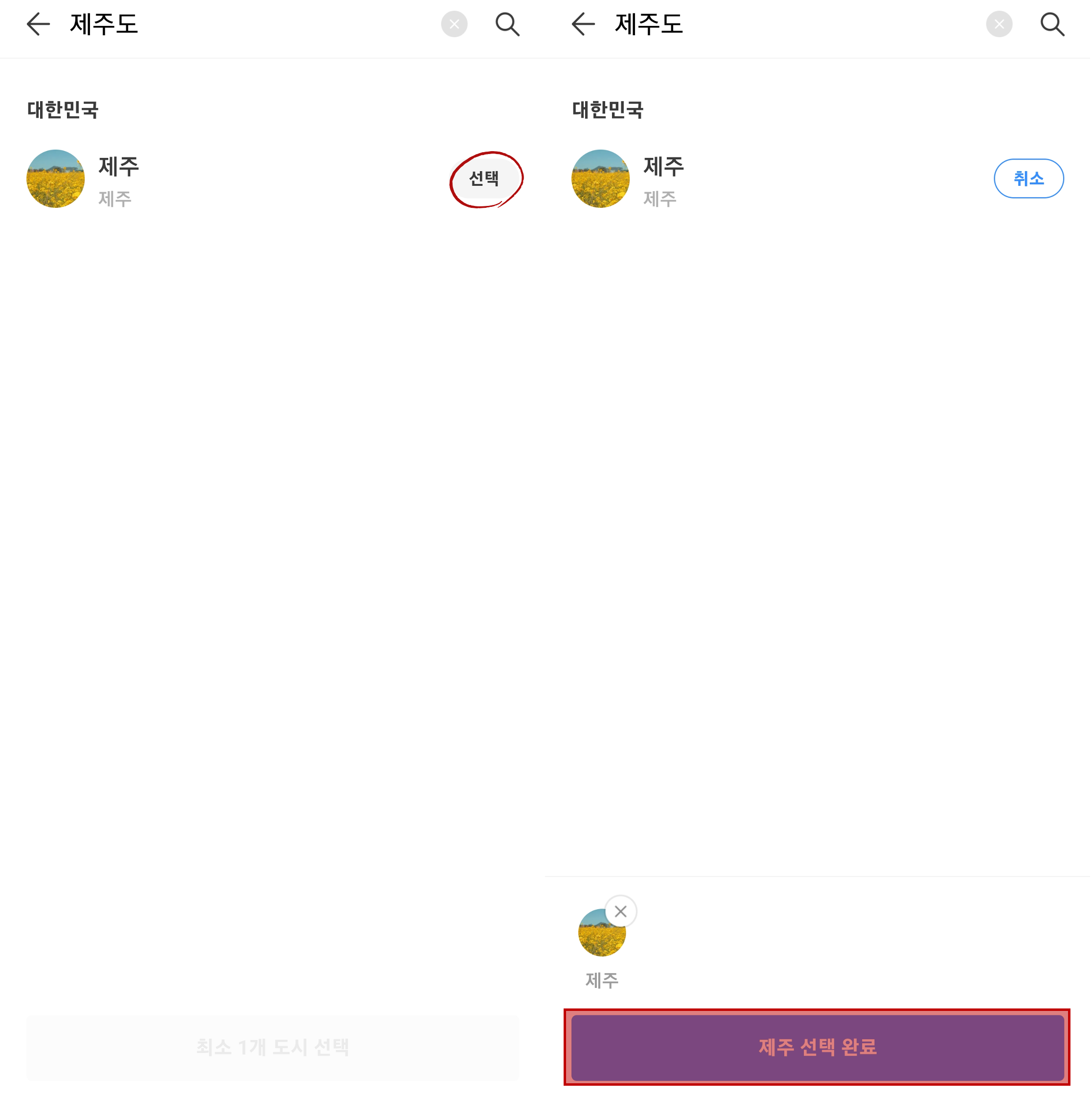 제주도 검색 및 선택
