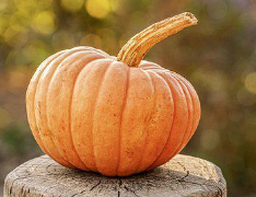 다이어트에-좋은-가을-제철음식-늙은호박