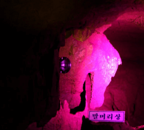 천곡-황금박쥐동굴