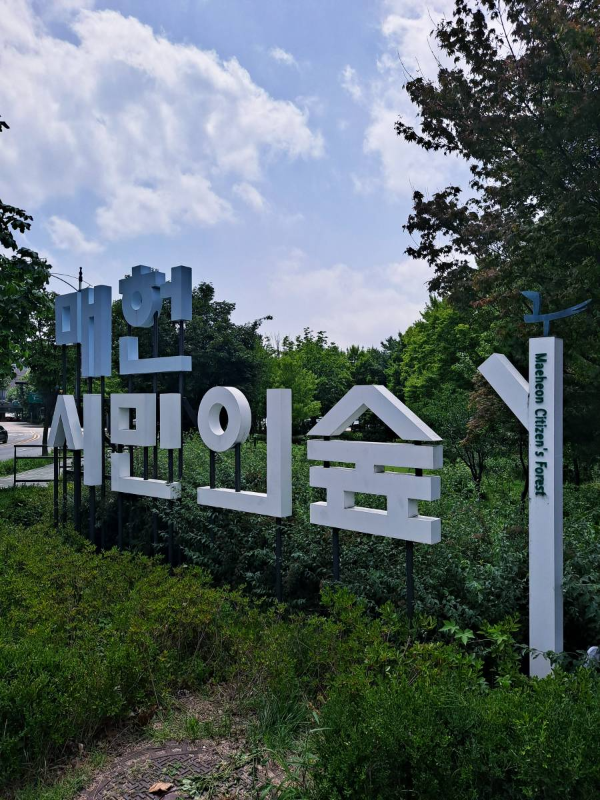 매헌시민의숲 초입