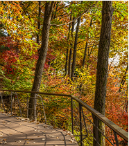 화담숲 예약 할인