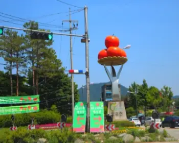 퇴촌 토마토 축제_4