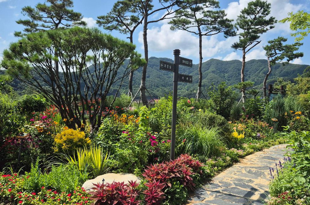 붕어섬 생태공원