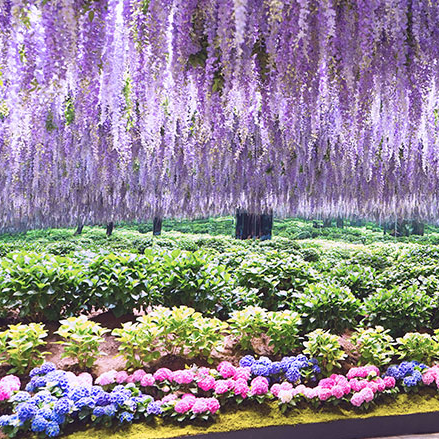 6&amp;#44; 7월 국내 여행지 가평 추천! 