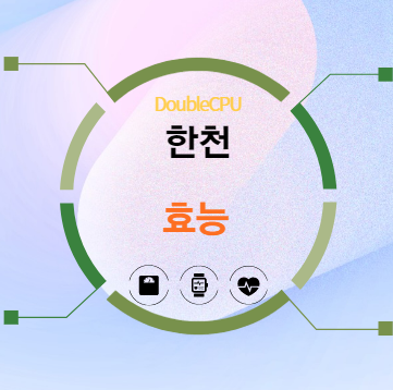 한천 5가지 효능