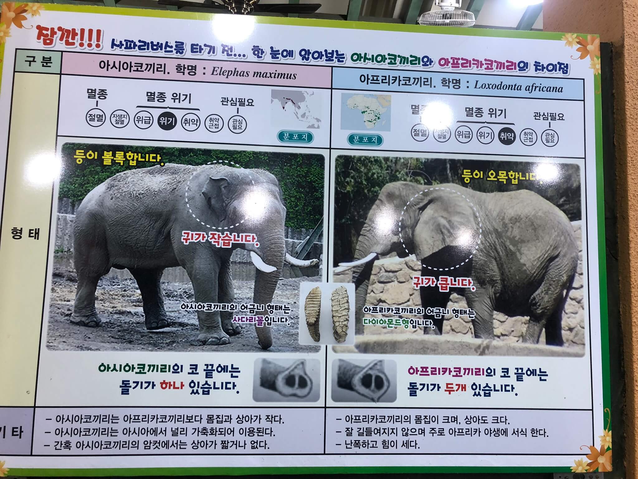 오월드 입장료