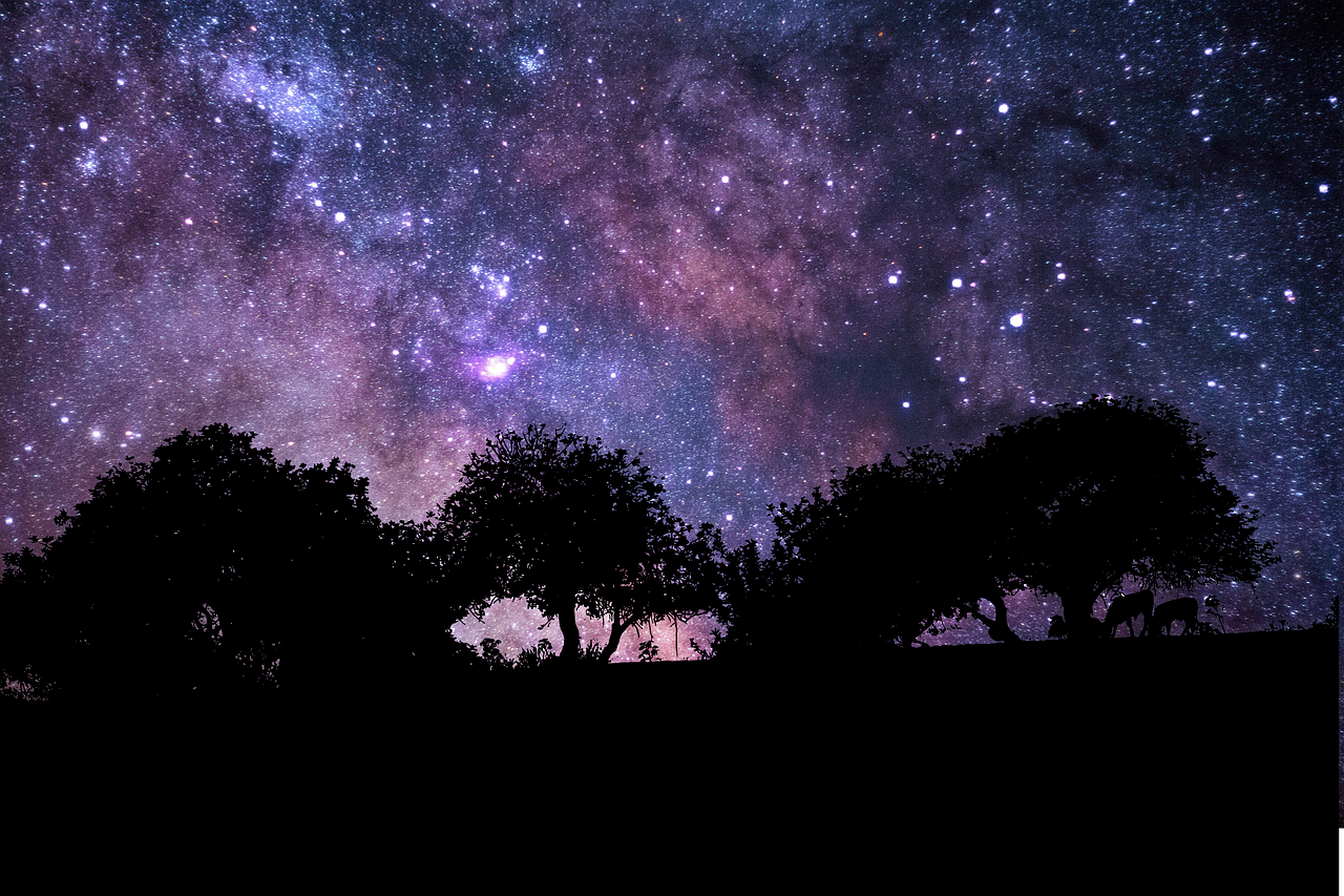 고려 시대의 천문학 발전과 유교적 세계관