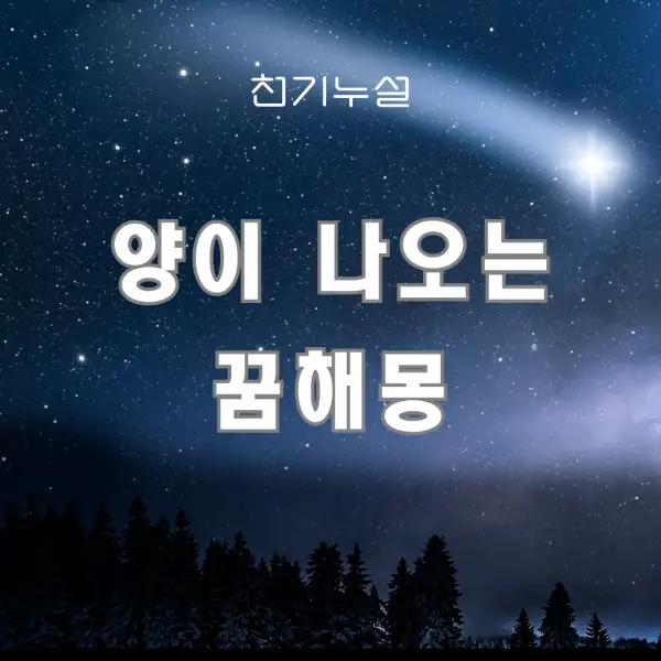 양이 나오는 꿈해몽