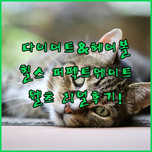 고양이 다이어트 헤어볼 사료 추천 힐..