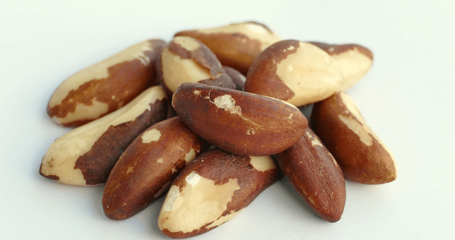셀레늄이 많은 음식 브라질 너트 여러 개가 놓여 있다