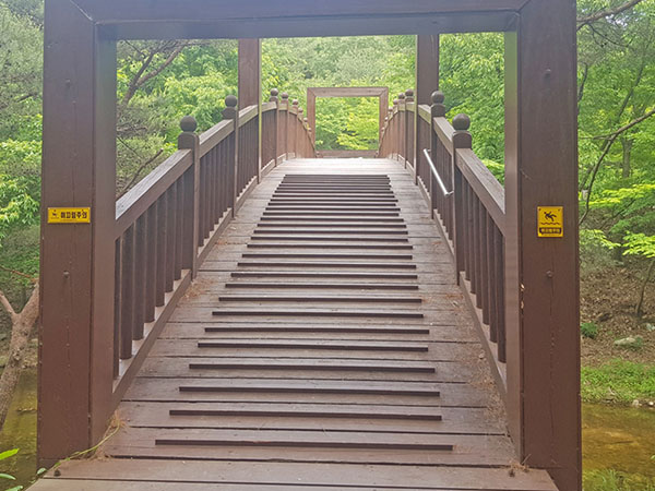 용현자연휴양림