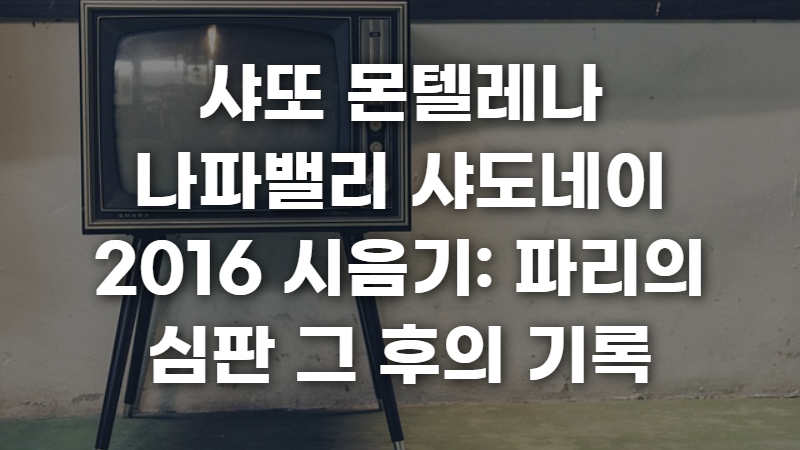 샤또 몬텔레나 나파밸리 샤도네이 2016 시음기 사진 1