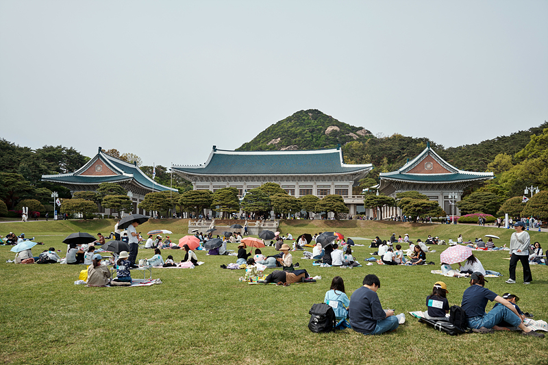 청와대 
