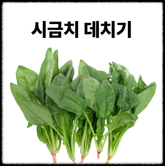 시금치 데치기
