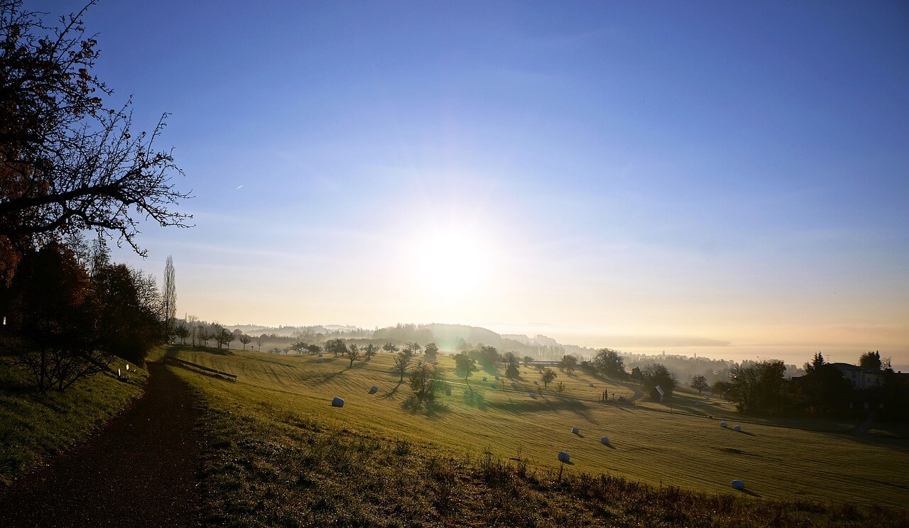 비즈플러스카드 지원사업