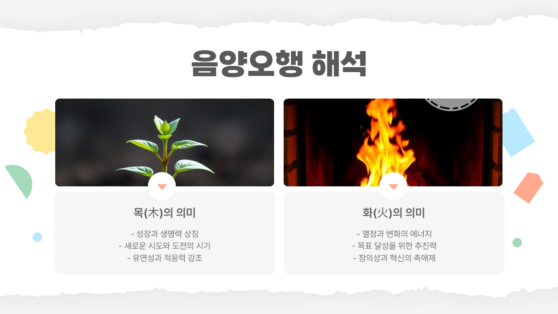 2025년 을사년 의미